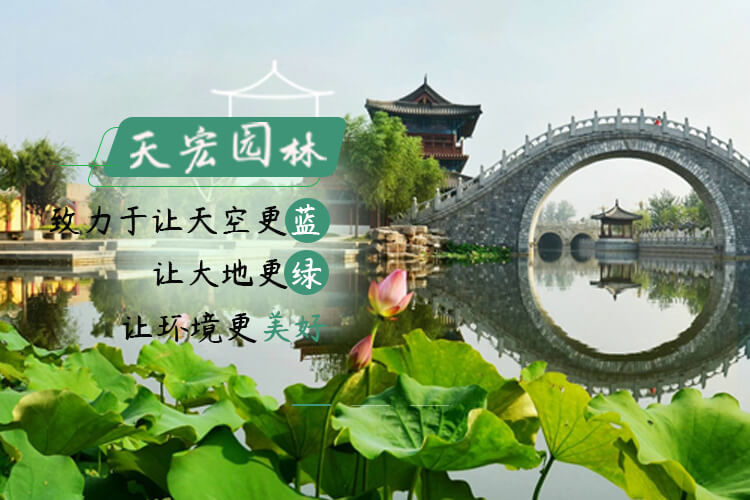 北京天宏園林綠化養護草莓视频色app-草莓视频黄色app-草莓视频下载黄色-日本草莓视频下载